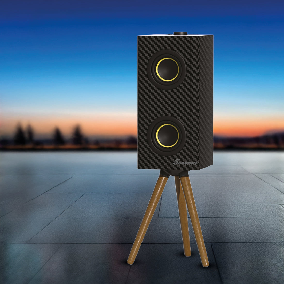 TORİMA D67 BLACK WIRELESS SPEAKER