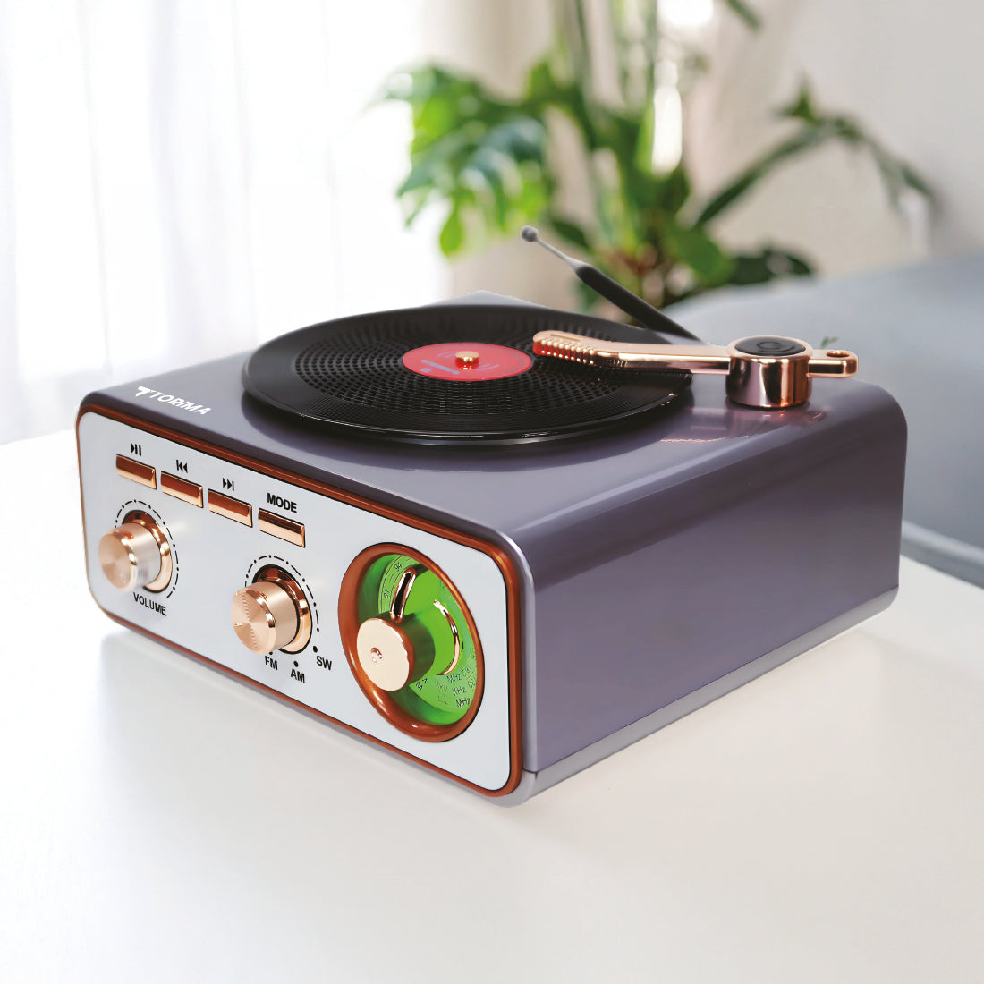 TORİMA D74 GRAY WIRELESS SPEAKER